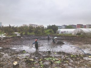 新绛河道鱼塘清淤